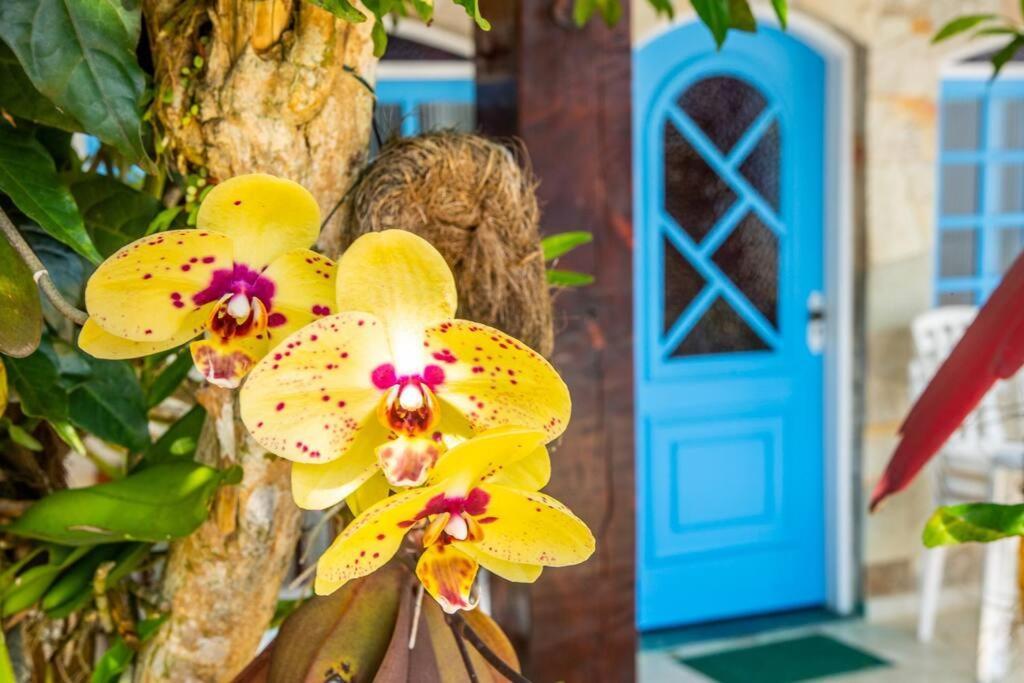 Barlavento Villas Chales Ильябела Экстерьер фото